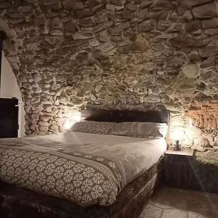 Apartman Barn *